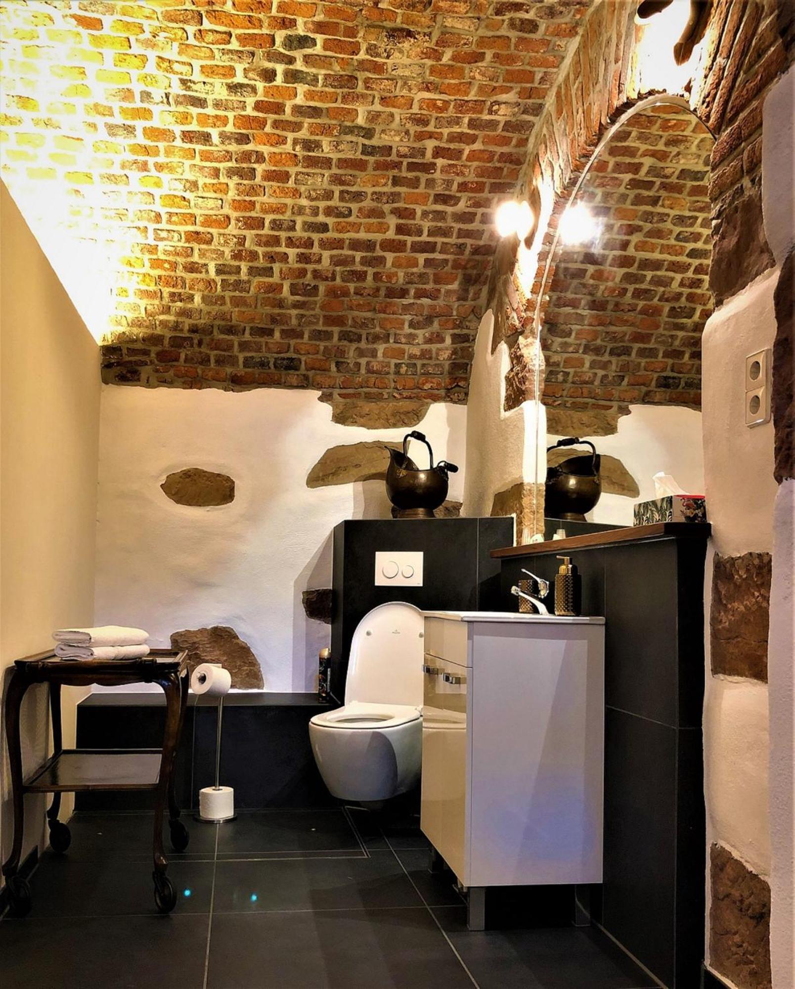 Historical Luxury Homes - Stadtvilla Mit Jacuzzi Und Garten 프라이부르크 임 브리스가우 외부 사진